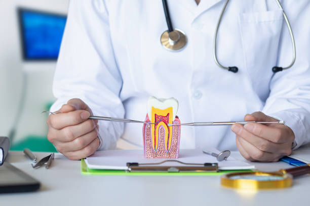 Best Emergency Dental Care for Broken or Chipped Teeth in Paloma Creek, TX